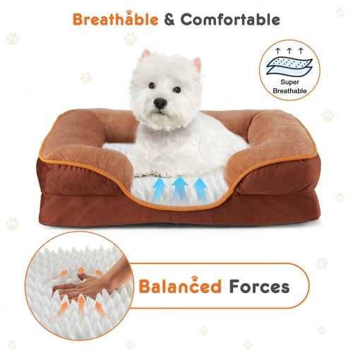 DreamNest Orthopedic Pet Bed