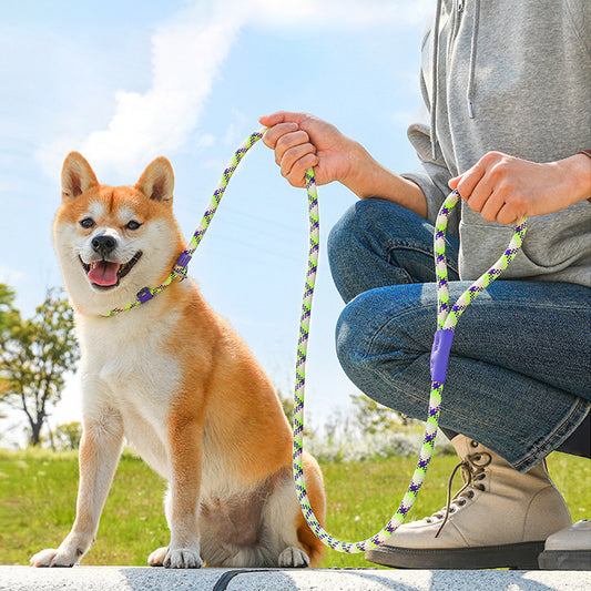 PetStride Leash