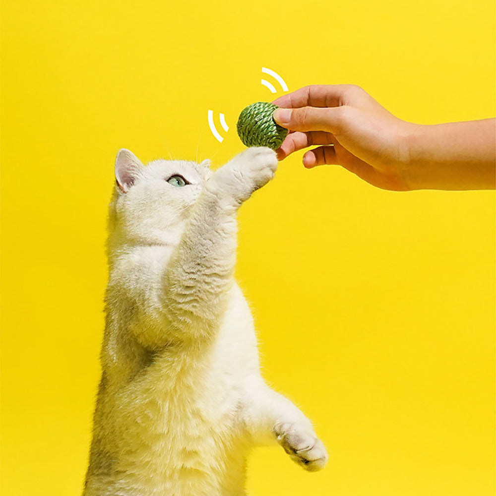 PurrPlay 3-Pack Cat Balls